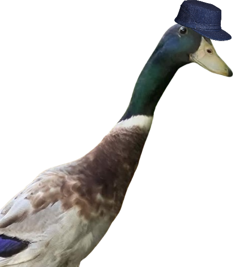 A kalaúz